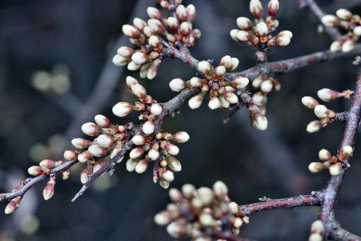 IMG_2013_04_22_00008606_2_Bildgr��e �ndern