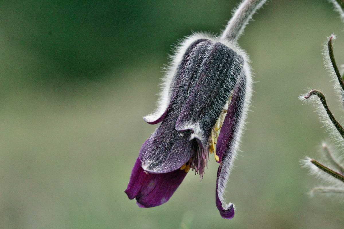 IMG_2013_04_22_00008614_2_Bildgr��e �ndern