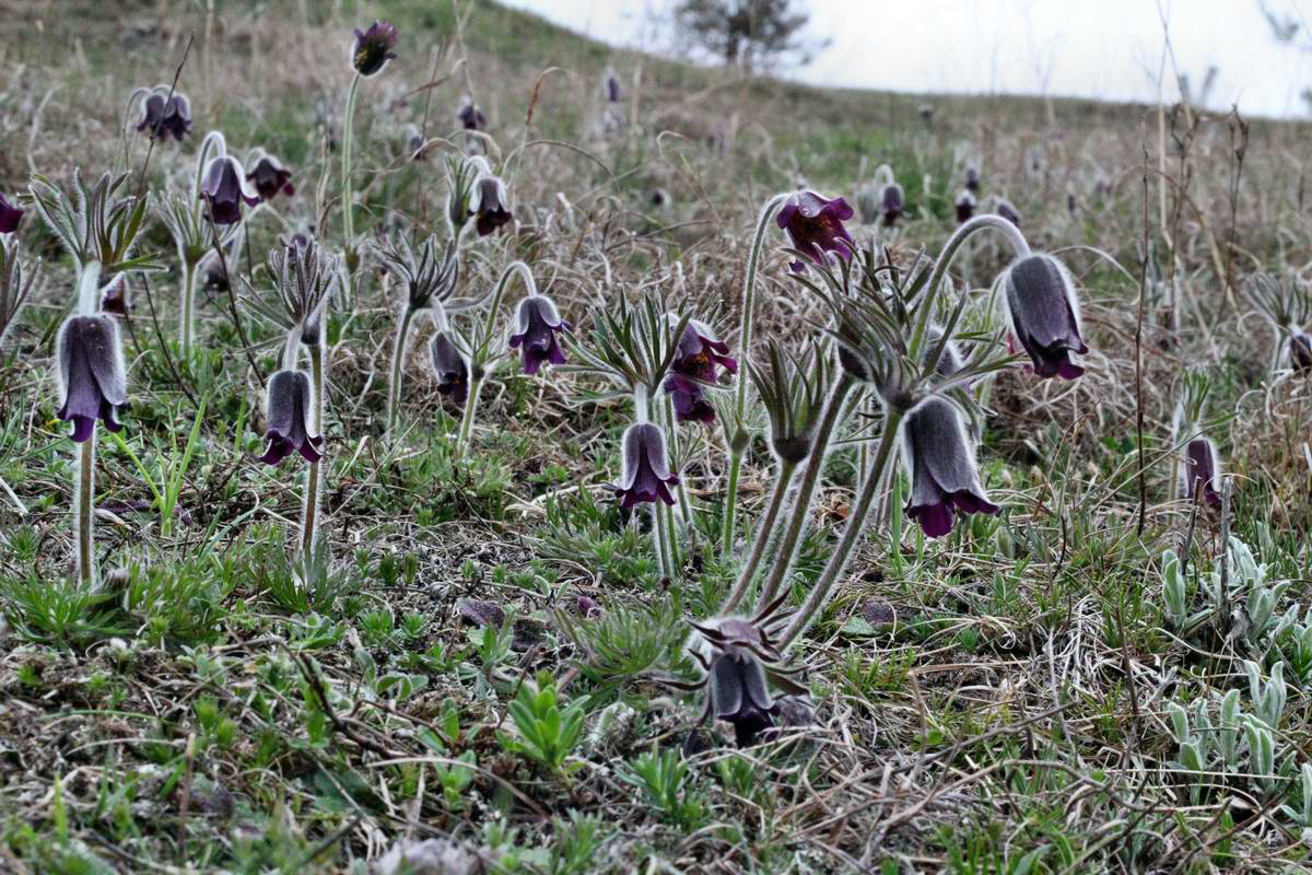 IMG_2013_04_22_00008719_2_Bildgr��e �ndern