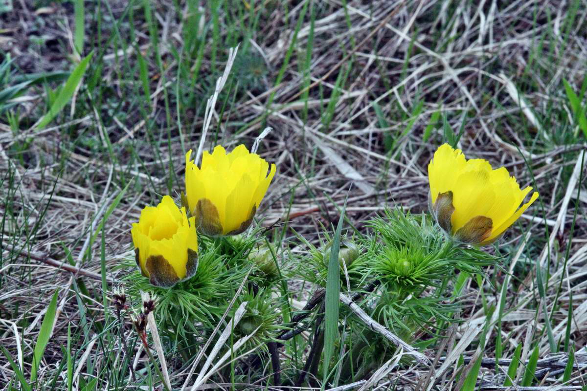 IMG_2013_04_22_00008801_2_Bildgr��e �ndern