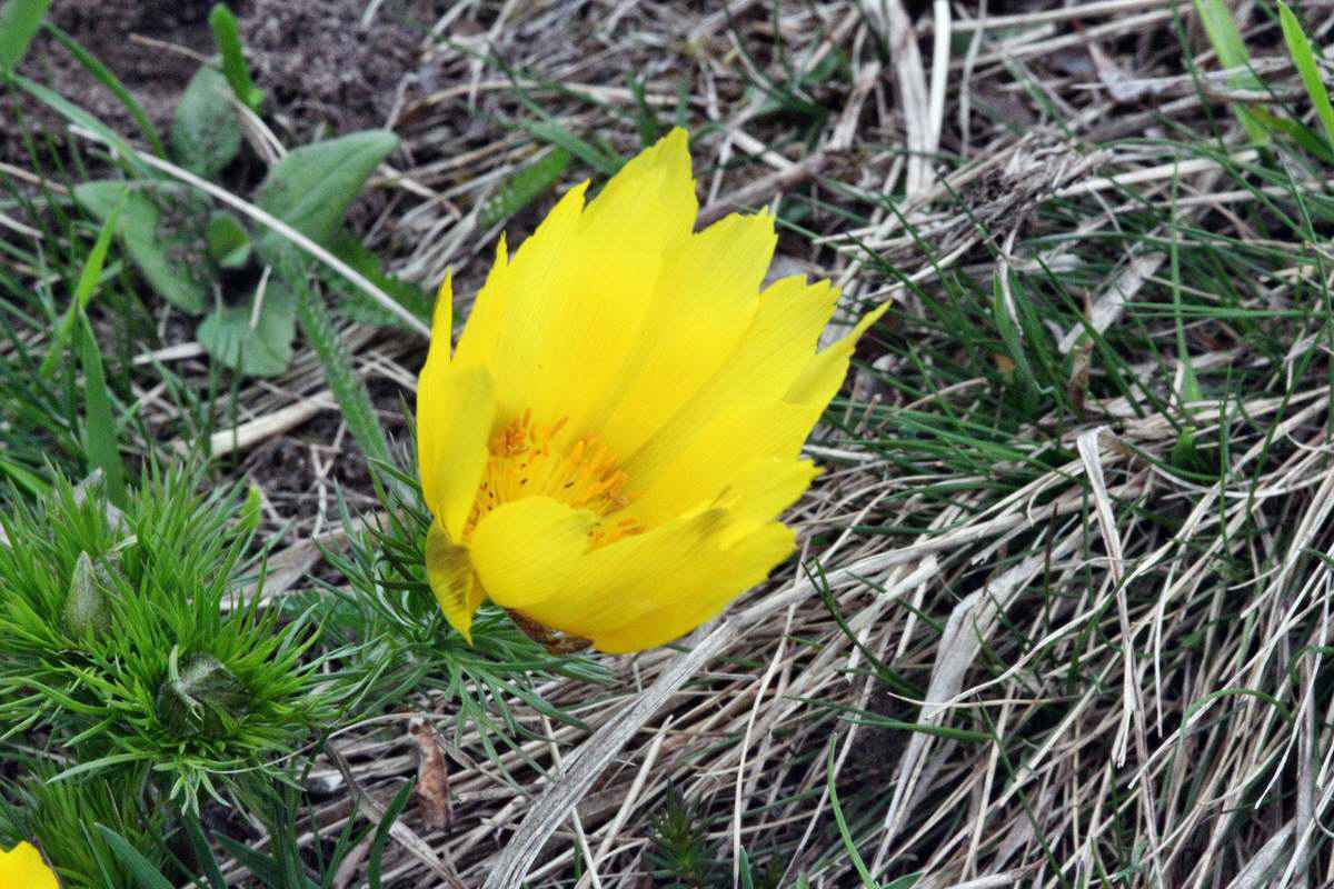 IMG_2013_04_22_00008804_2_Bildgr��e �ndern