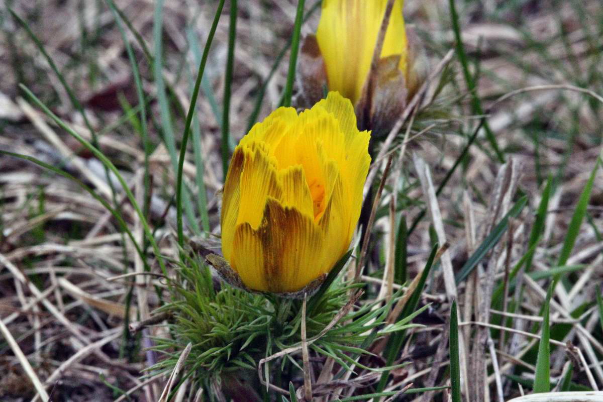 IMG_2013_04_22_00008810_2_Bildgr��e �ndern