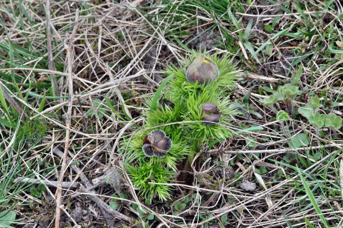 IMG_2013_04_22_00008813_2_Bildgr��e �ndern