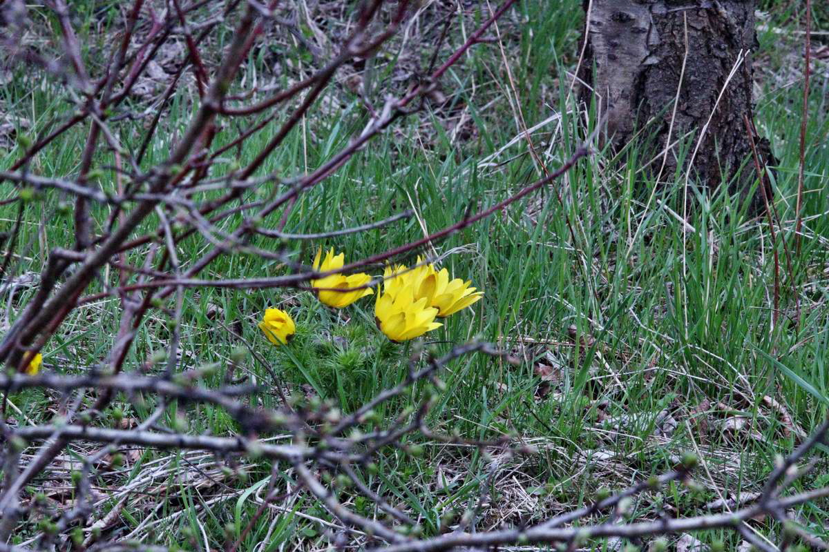 IMG_2013_04_22_00008837_2_Bildgr��e �ndern