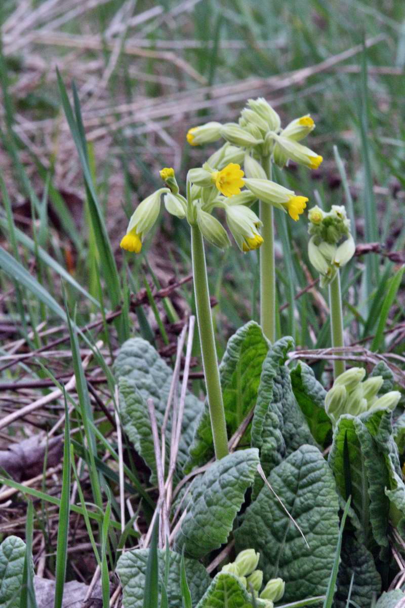 IMG_2013_04_22_00008850_2_Bildgr��e �ndern