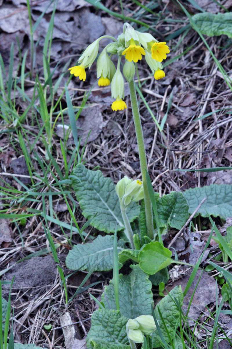 IMG_2013_04_22_00008854_2_Bildgr��e �ndern