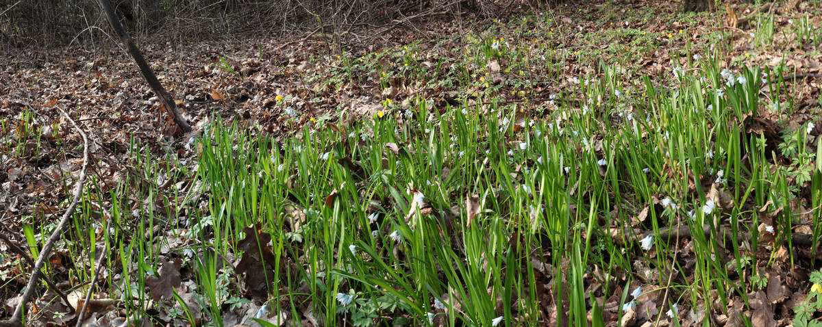 [pano5]-IMG_2013_04_24_00008883_IMG_2013_04_24_00008922-14 images_Bildgr��e �ndern