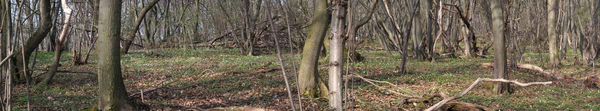 [pano6]-IMG_2013_04_24_00009092_IMG_2013_04_24_00009109-10 images_Bildgr��e �ndern