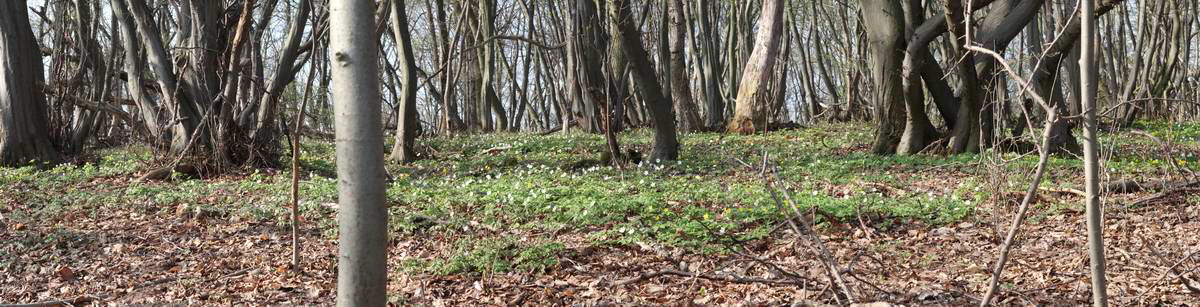 [pano6]-IMG_2013_04_24_00009111_IMG_2013_04_24_00009123-8 images_Bildgr��e �ndern