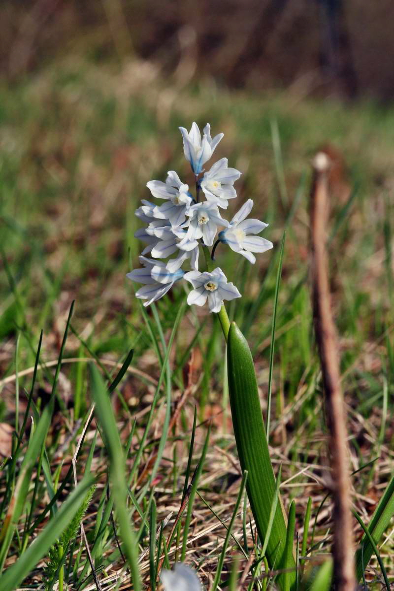 IMG_2013_04_24_00008985_2_Bildgr��e �ndern