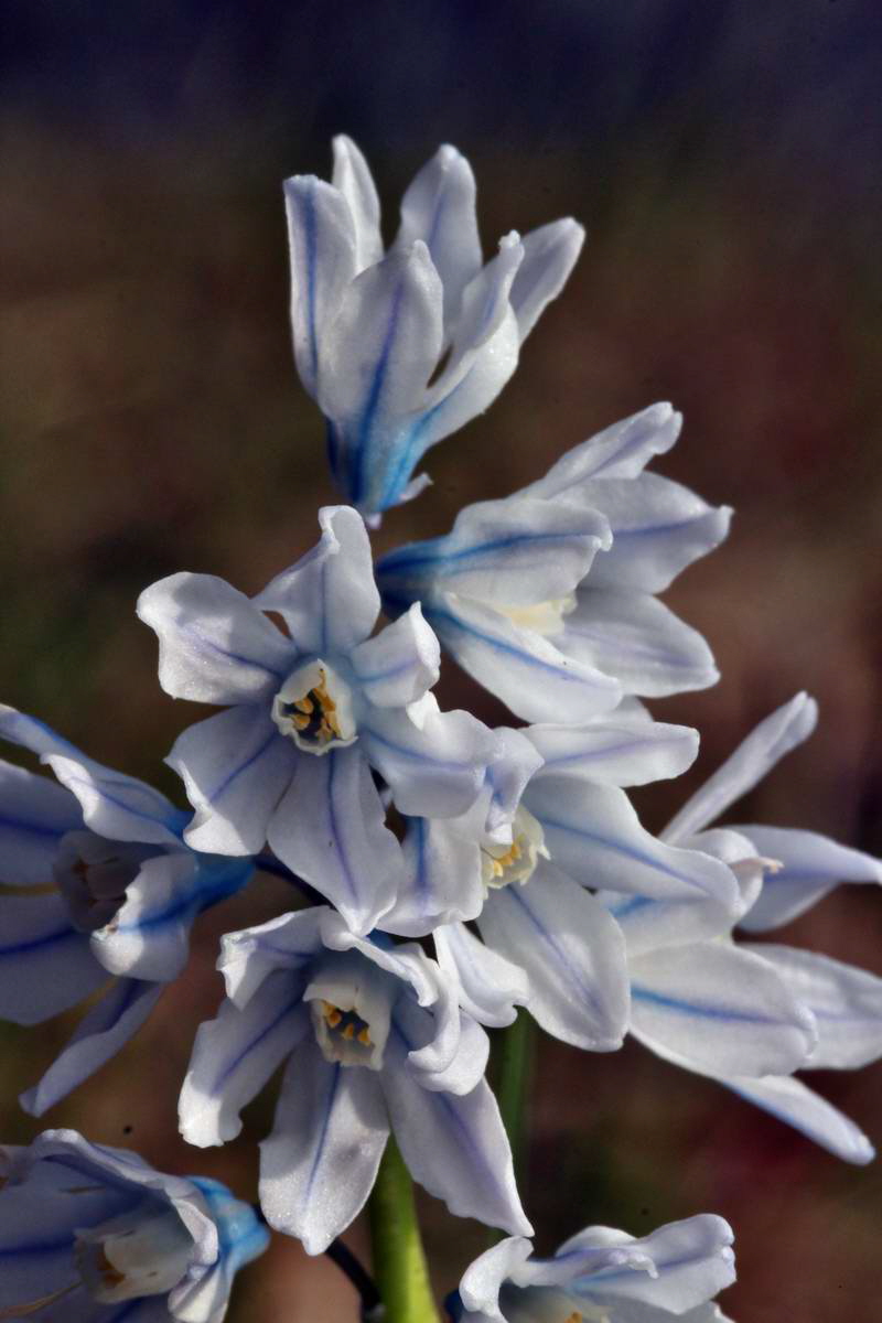 IMG_2013_04_24_00008986_2_Bildgr��e �ndern