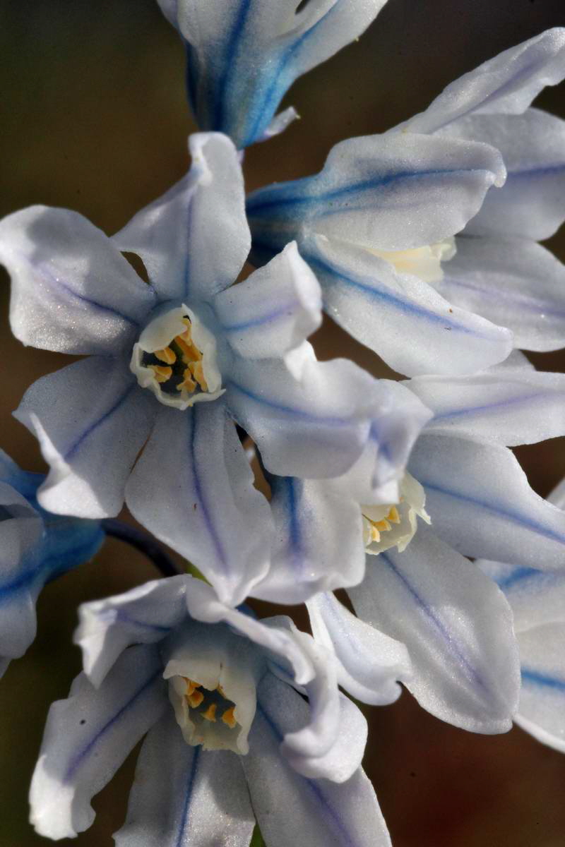 IMG_2013_04_24_00008989_2_Bildgr��e �ndern