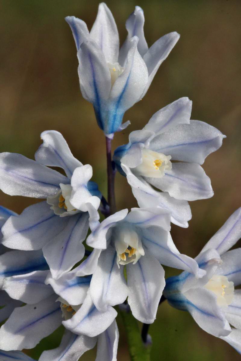 IMG_2013_04_24_00008994_2_Bildgr��e �ndern