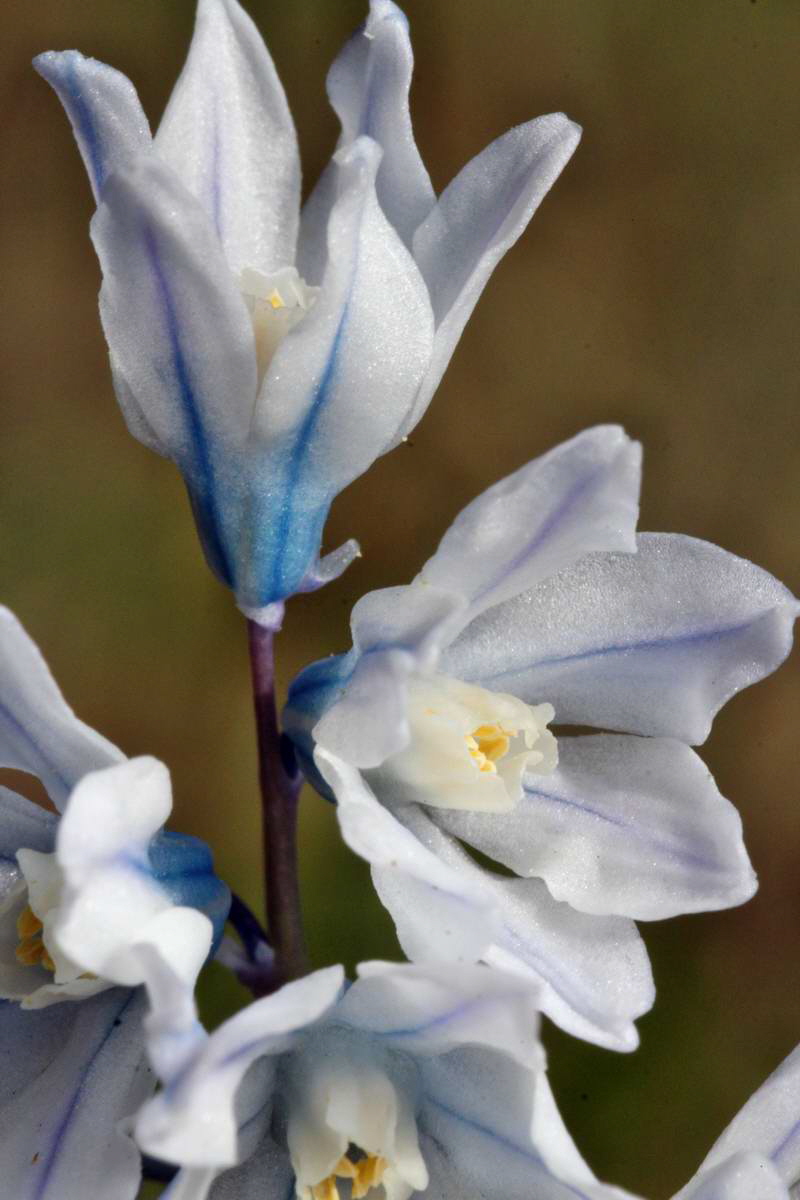 IMG_2013_04_24_00008996_2_Bildgr��e �ndern