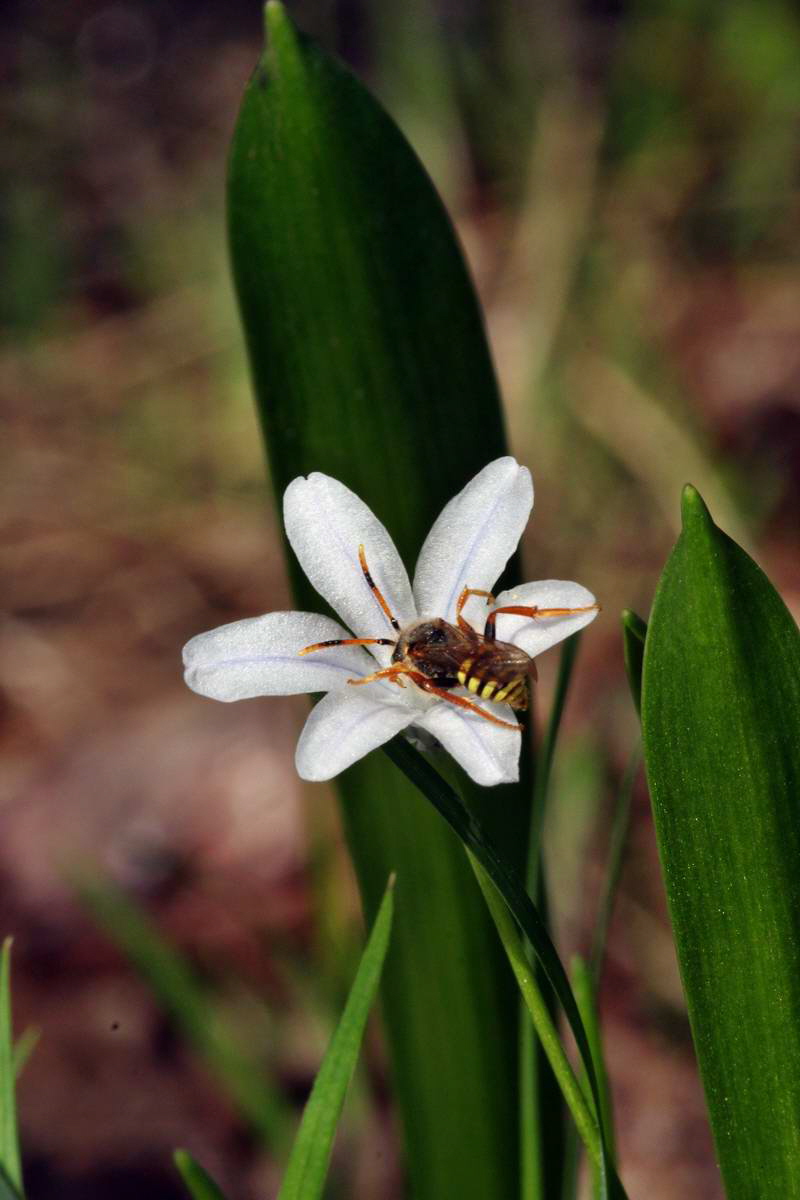 IMG_2013_04_24_00009002_2_Bildgr��e �ndern