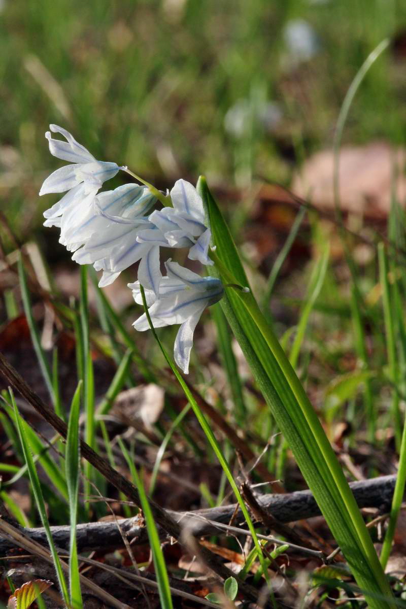 IMG_2013_04_24_00009019_2_Bildgr��e �ndern