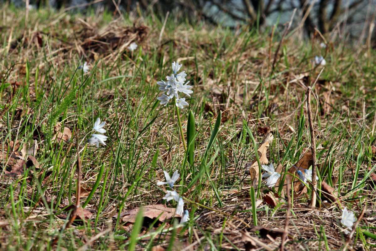 IMG_2013_04_24_00009023_2_Bildgr��e �ndern