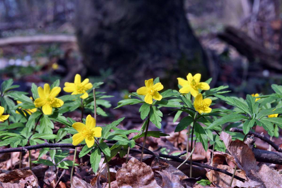 IMG_2013_04_24_00009082_2_Bildgr��e �ndern