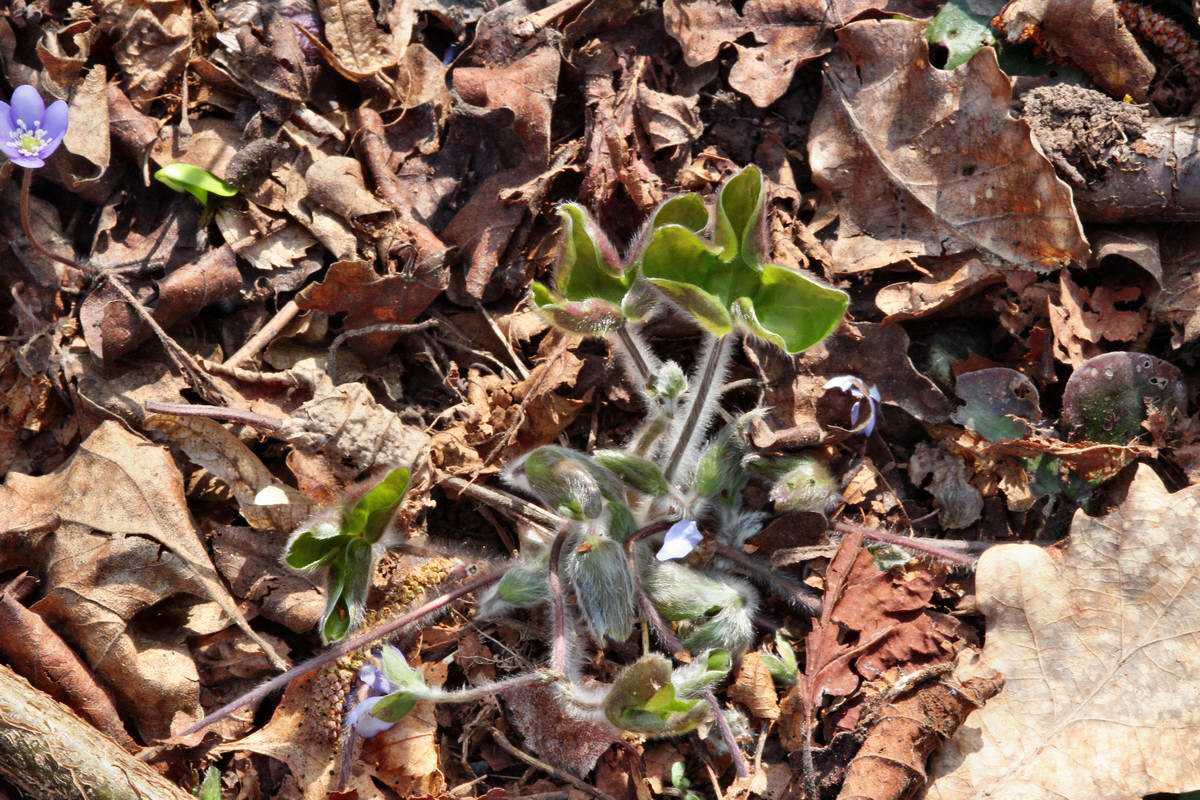 IMG_2013_04_24_00009136_2_Bildgr��e �ndern