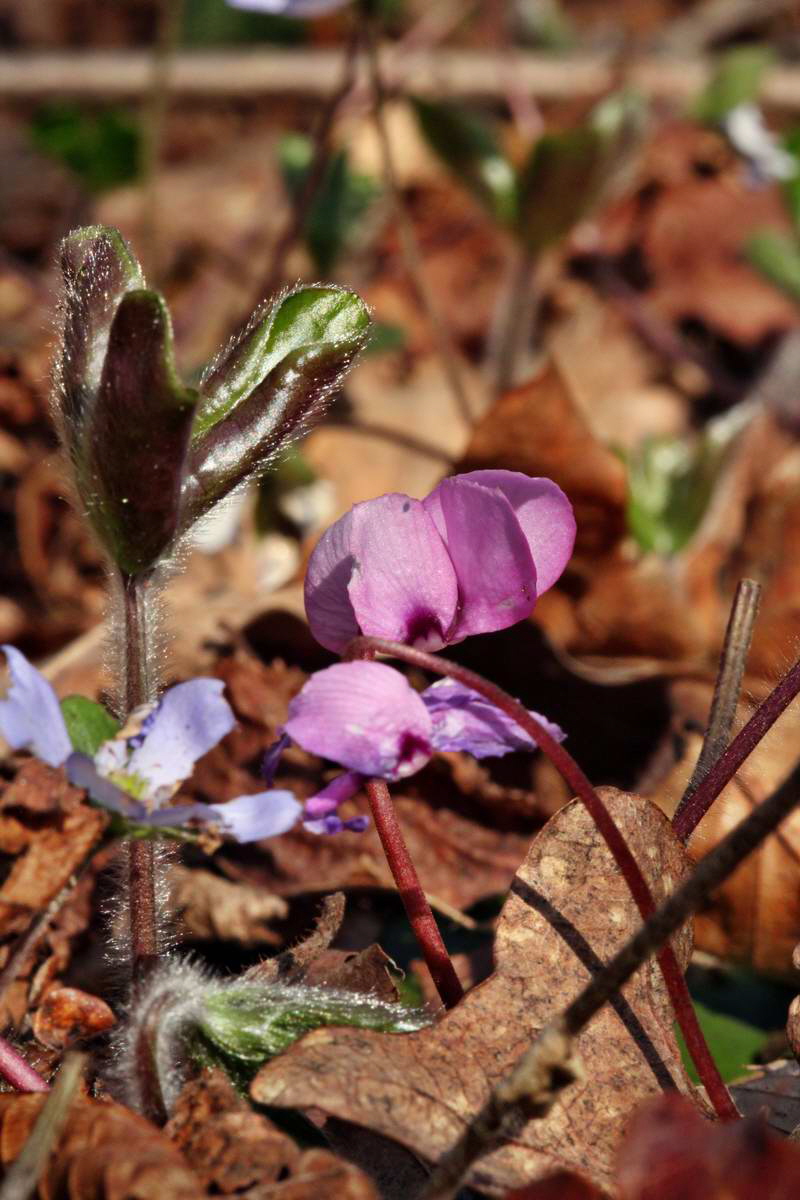 IMG_2013_04_24_00009139_2_Bildgr��e �ndern