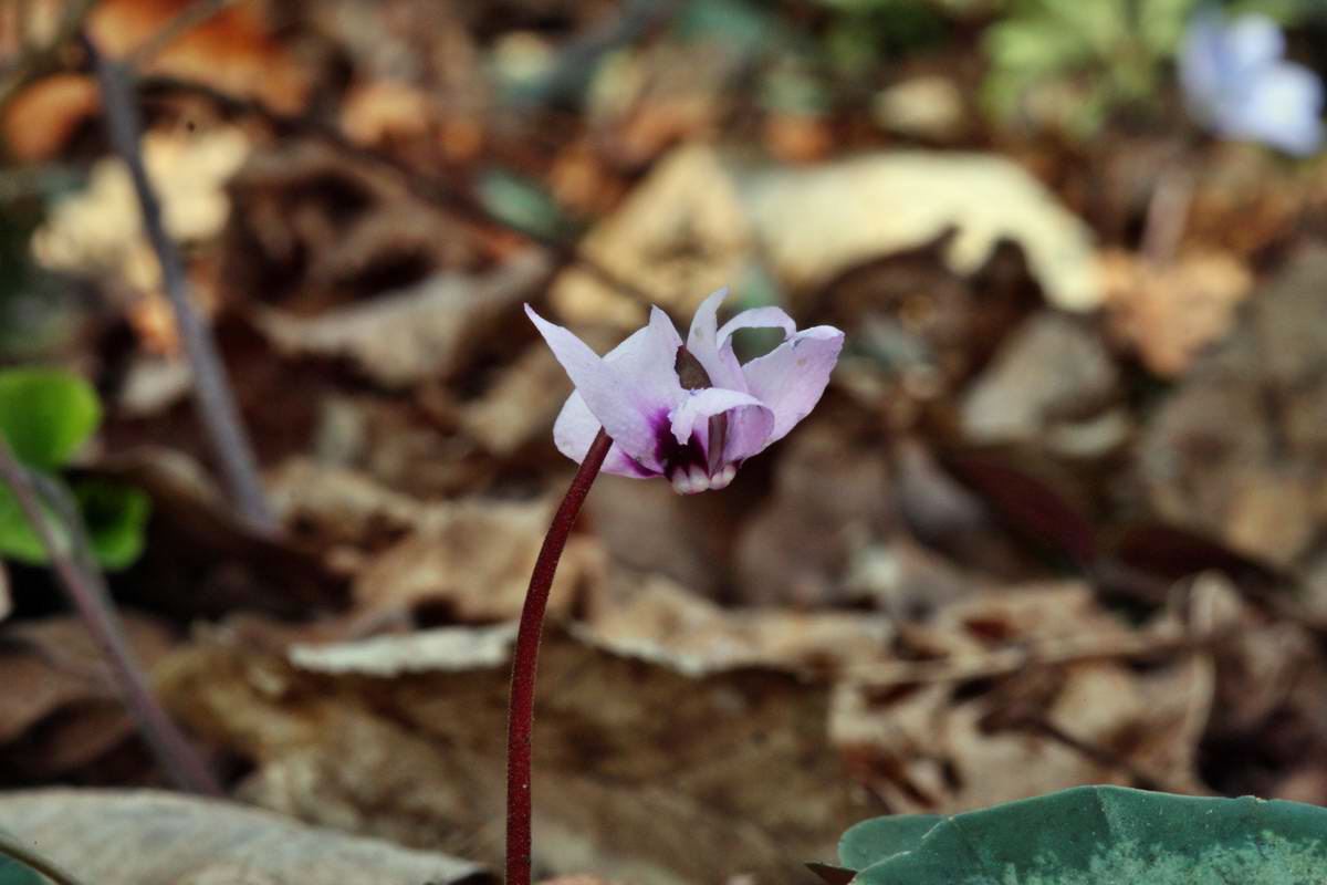 IMG_2013_04_24_00009150_2_Bildgr��e �ndern