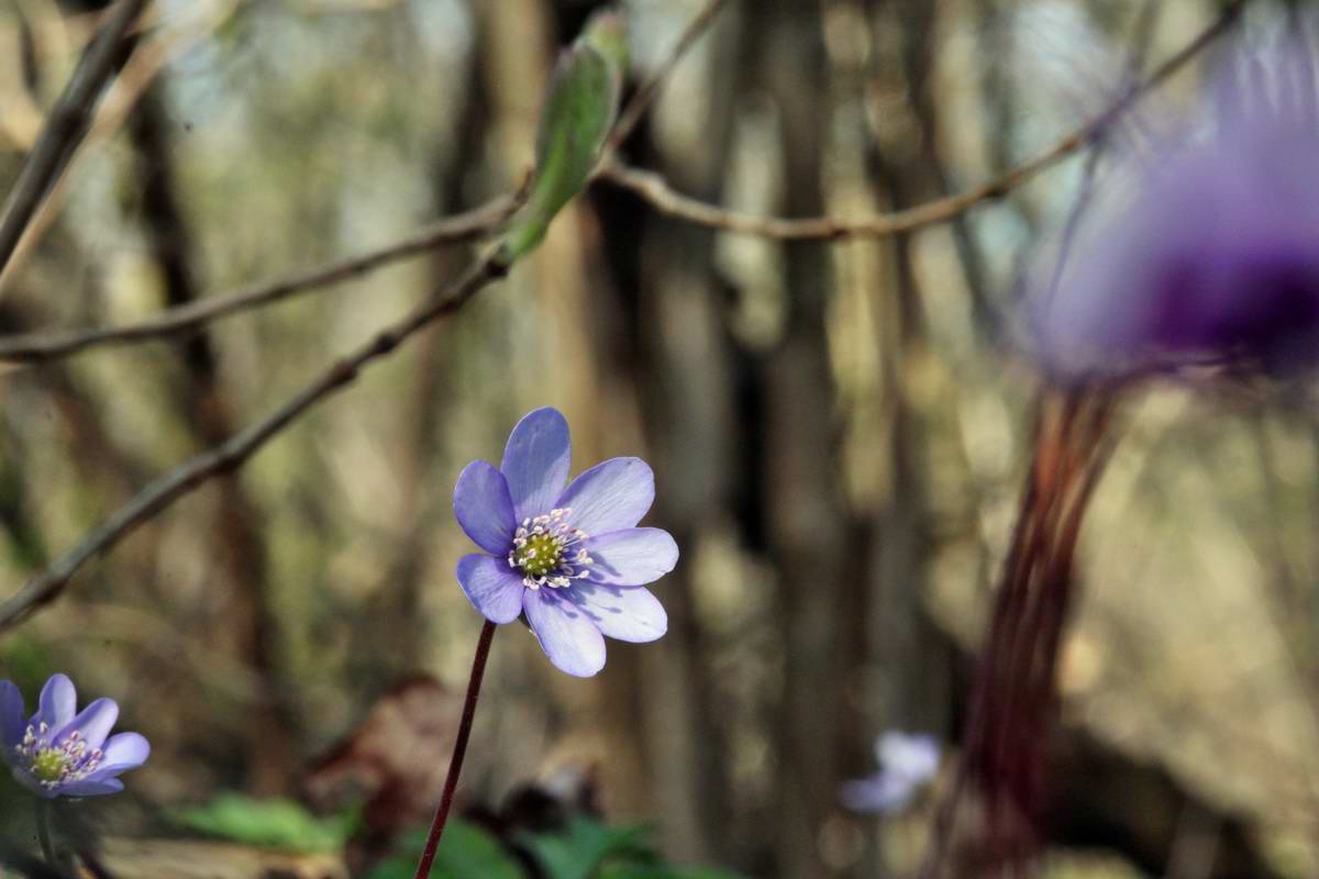 IMG_2013_04_24_00009153_2_Bildgr��e �ndern