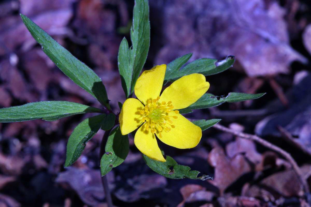 IMG_2013_04_24_00009174_2_Bildgr��e �ndern