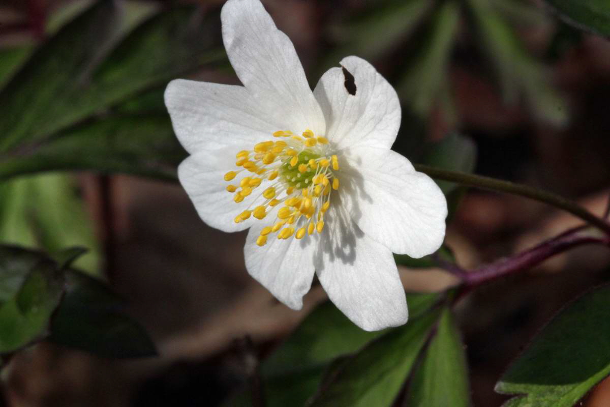 IMG_2013_04_24_00009181_2_Bildgr��e �ndern