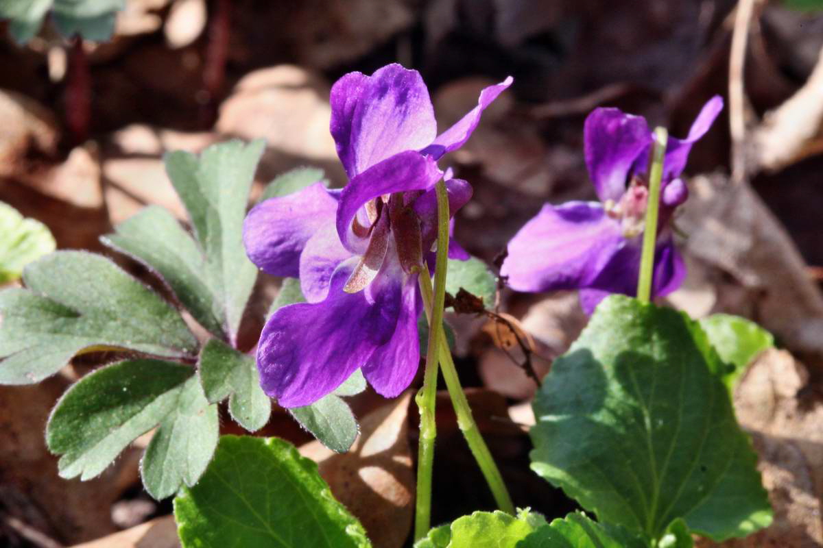 IMG_2013_04_24_00009193_2_Bildgr��e �ndern