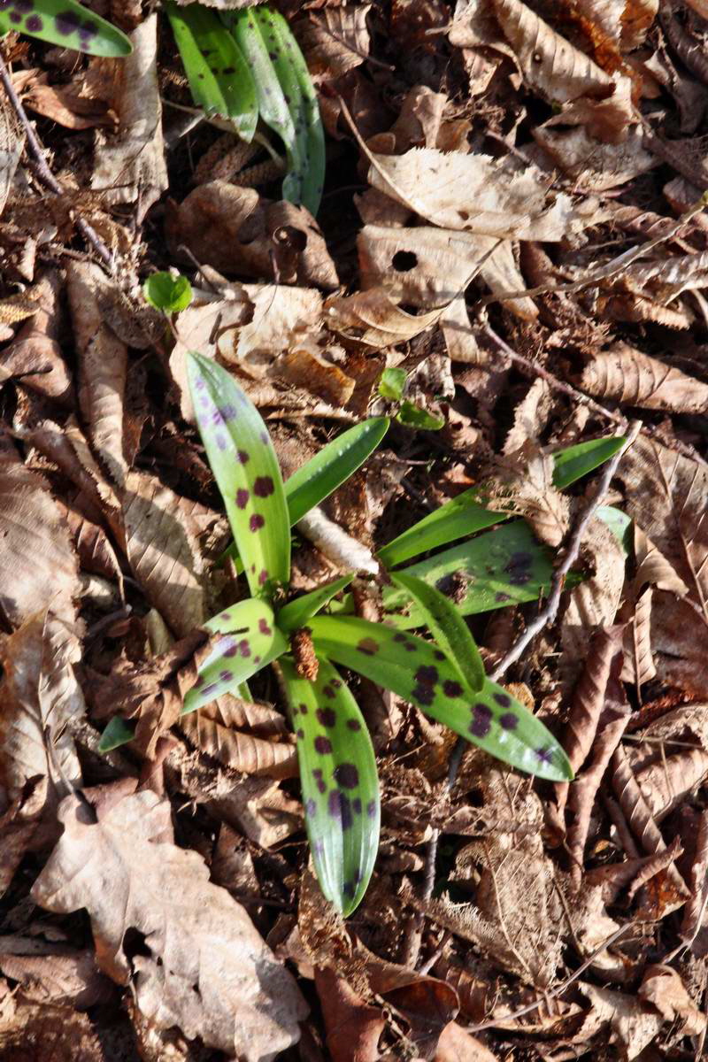 IMG_2013_04_24_00009295_2_Bildgr��e �ndern