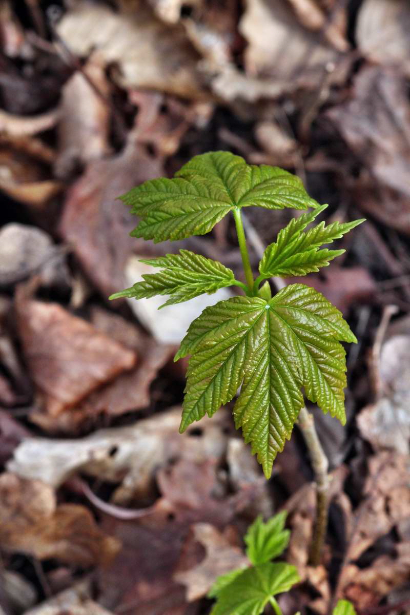 IMG_2013_04_24_00009310_2_Bildgr��e �ndern