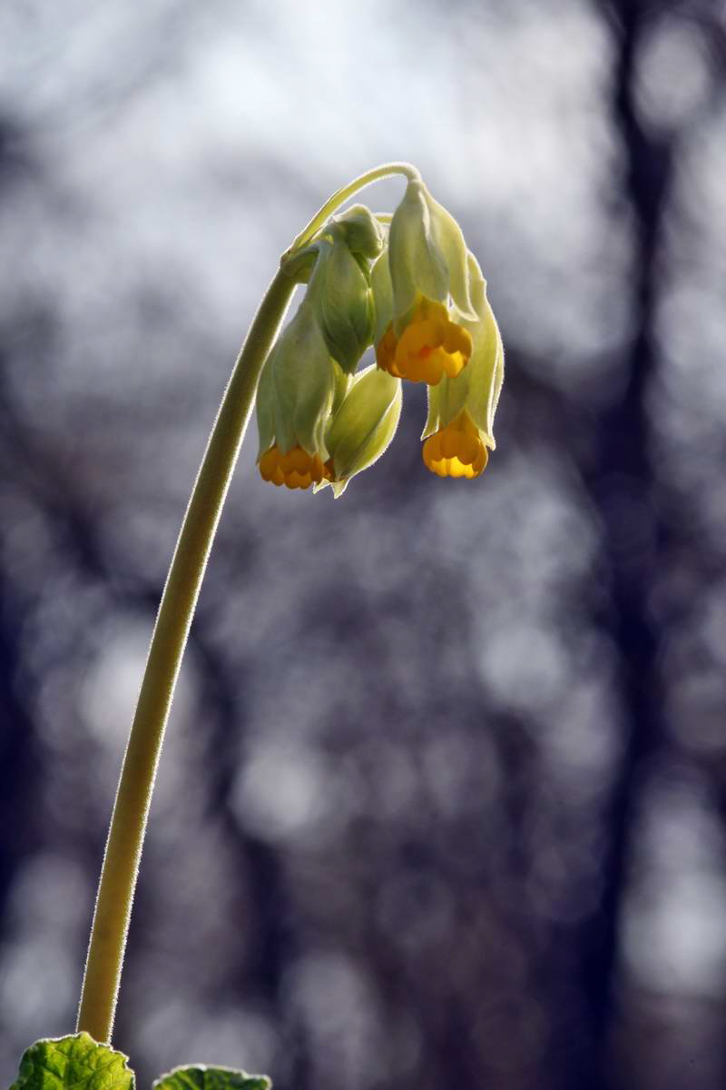 IMG_2013_04_24_00009337_2_Bildgr��e �ndern