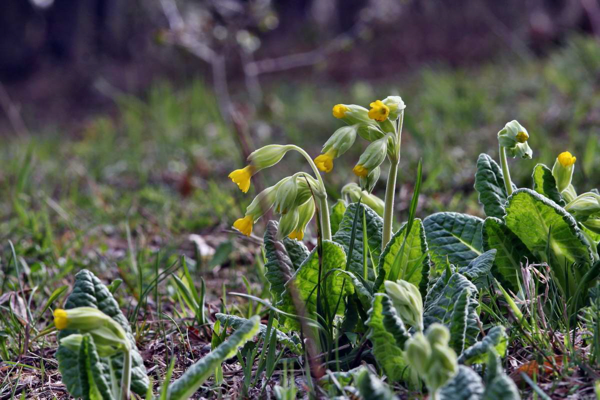 IMG_2013_04_24_00009344_2_Bildgr��e �ndern