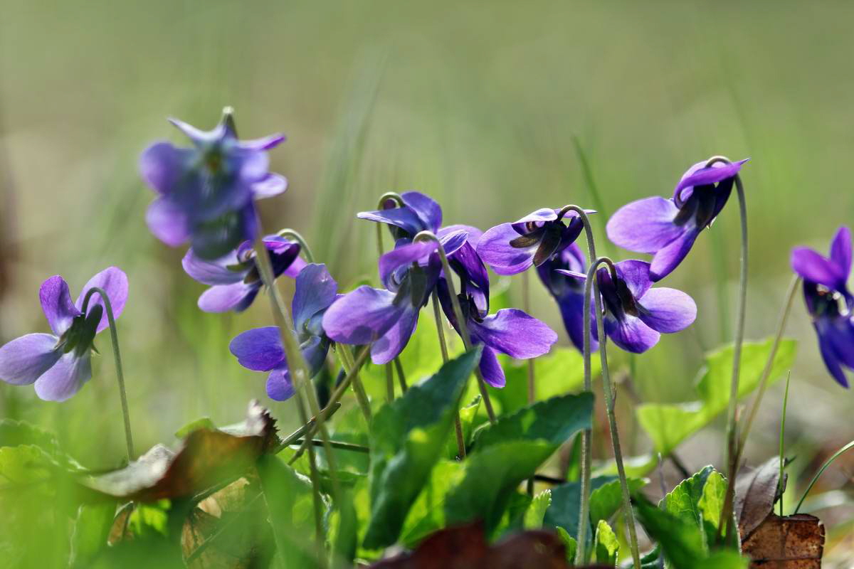 IMG_2013_04_24_00009345_2_Bildgr��e �ndern