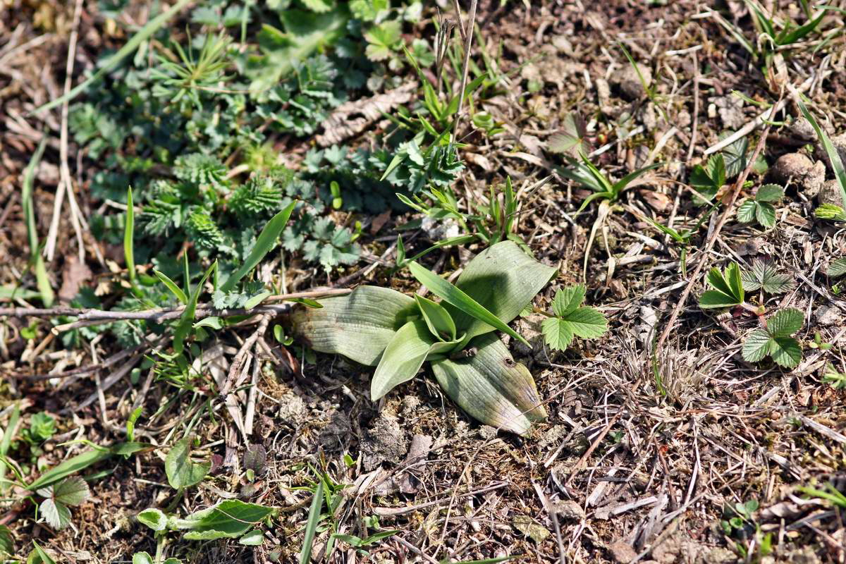 IMG_2013_04_24_00009347_2_Bildgr��e �ndern