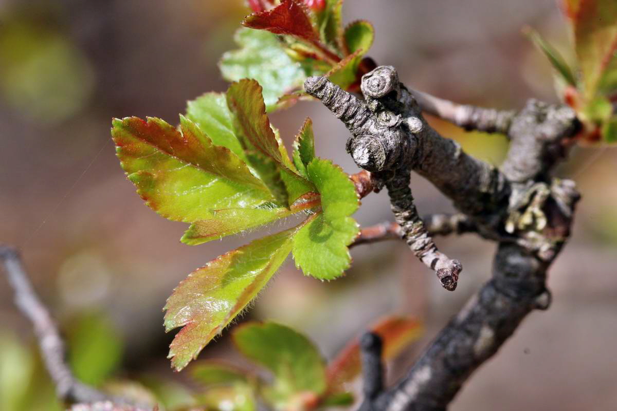 IMG_2013_04_24_00009351_2_Bildgr��e �ndern