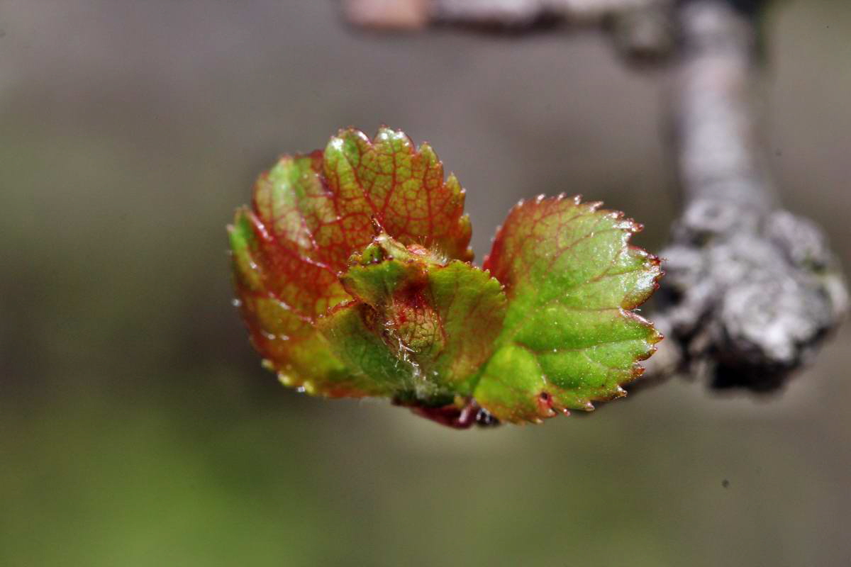 IMG_2013_04_24_00009355_2_Bildgr��e �ndern