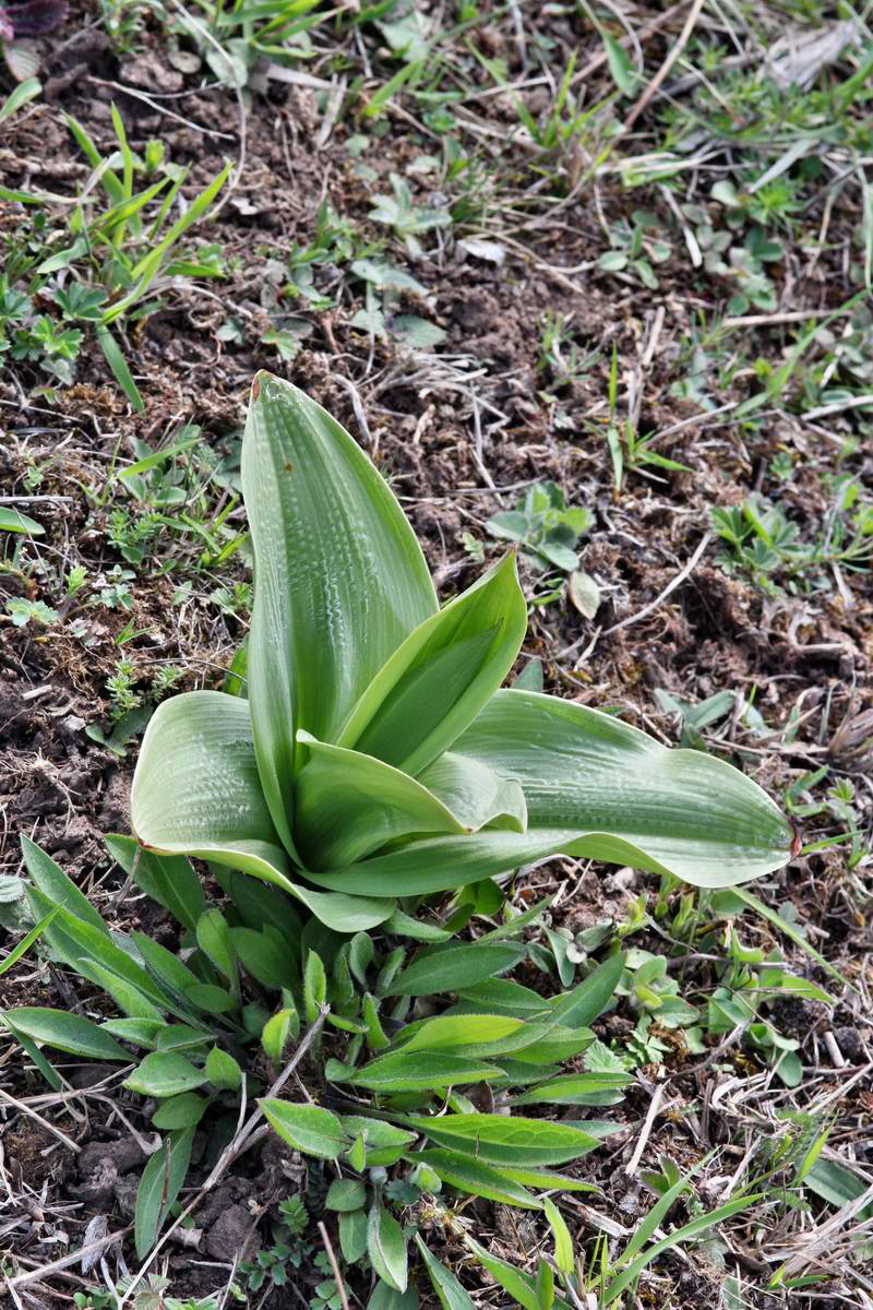 IMG_2013_04_24_00009363_2_Bildgr��e �ndern