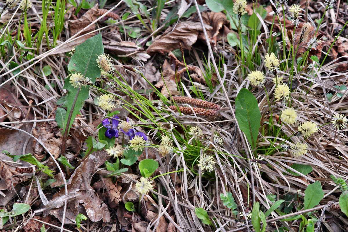 IMG_2013_04_24_00009371_2_Bildgr��e �ndern