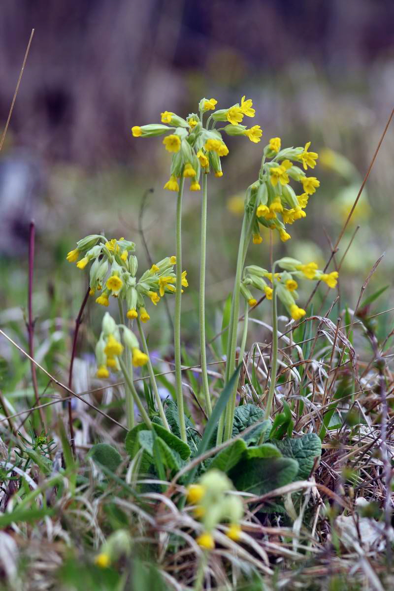 IMG_2013_04_24_00009464_2_Bildgr��e �ndern