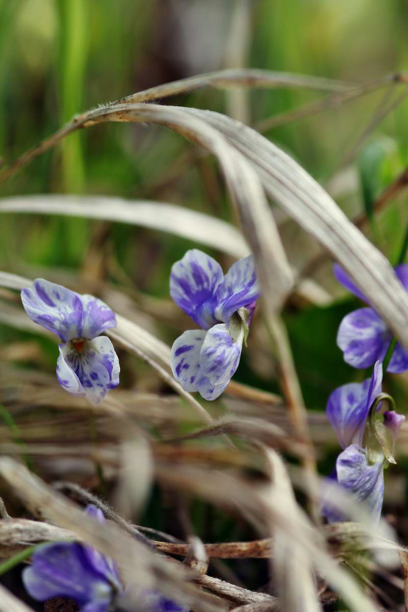 IMG_2013_04_24_00009483_2_Bildgr��e �ndern