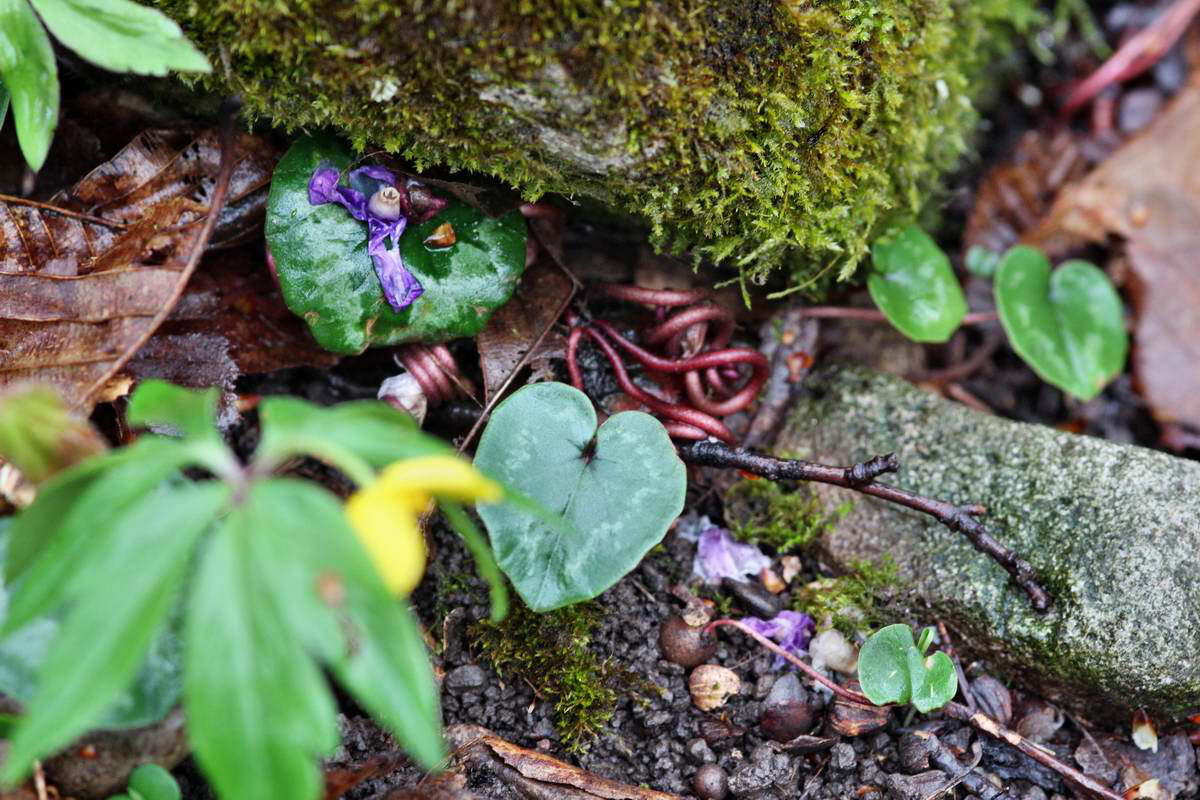 IMG_2013_04_27_00009712_2_Bildgr��e �ndern