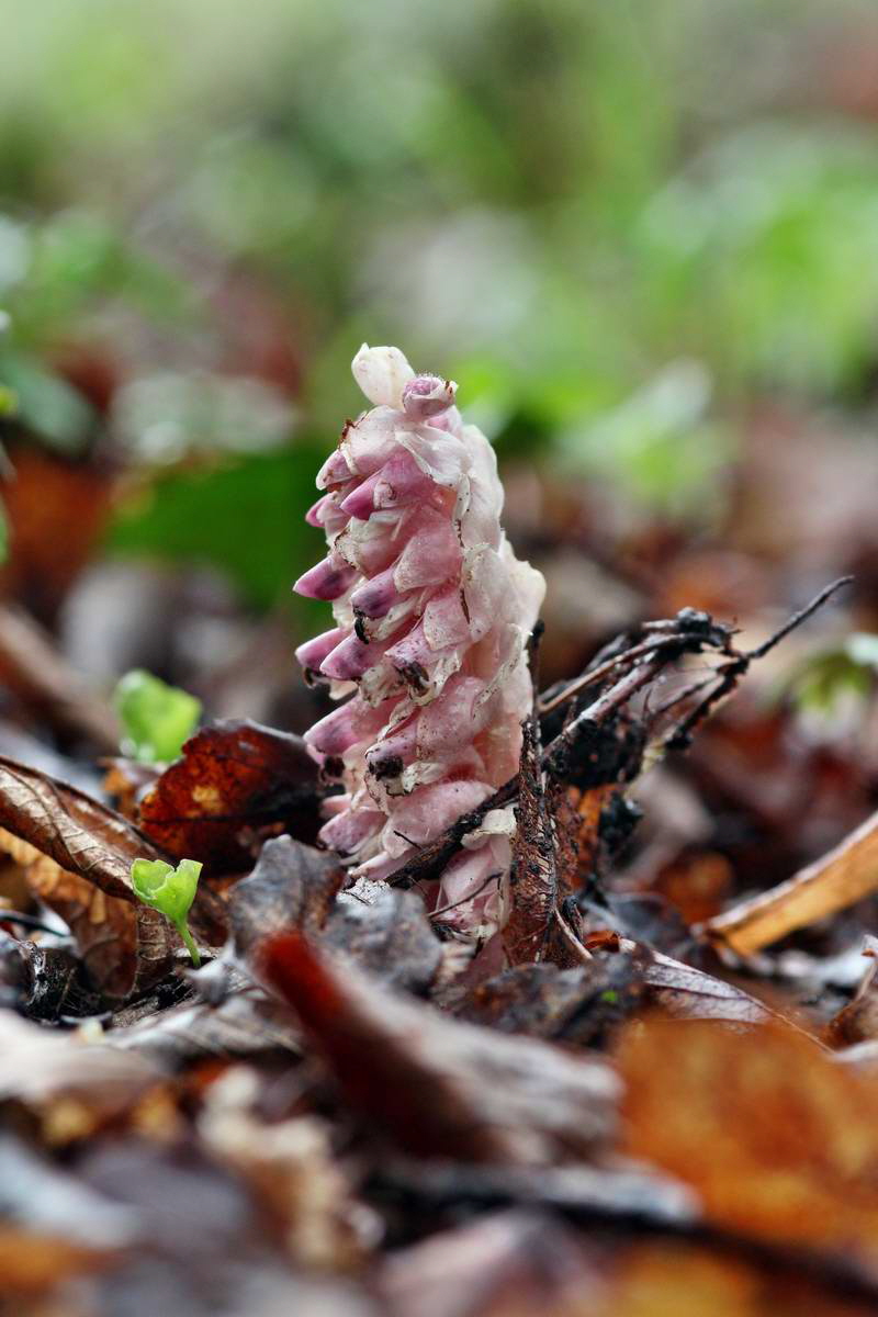 IMG_2013_04_27_00009722_2_Bildgr��e �ndern