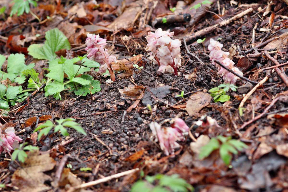 IMG_2013_04_27_00009731_2_Bildgr��e �ndern