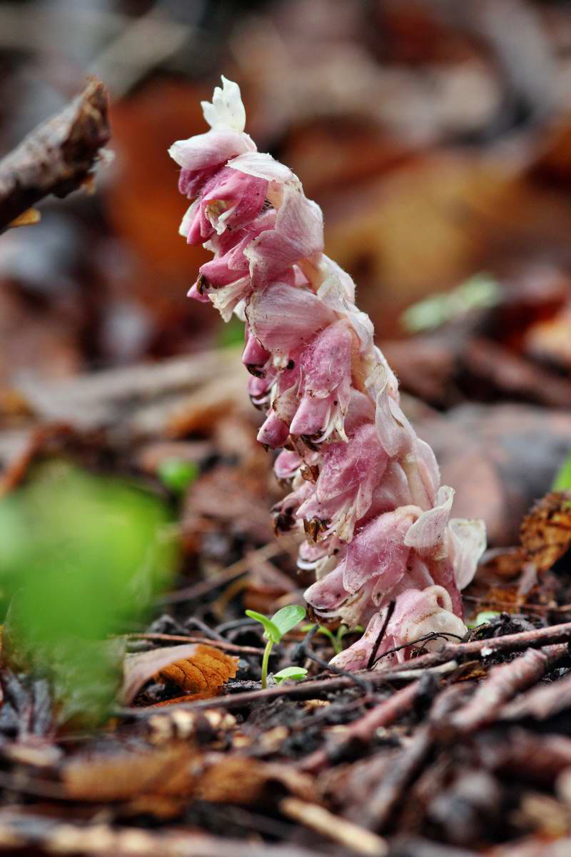 IMG_2013_04_27_00009737_2_Bildgr��e �ndern