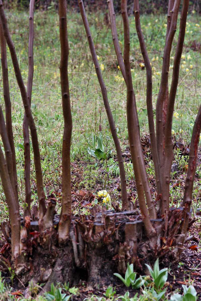 IMG_2013_04_27_00009751_2_Bildgr��e �ndern