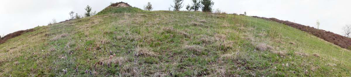 [pano1]-IMG_2013_04_29_00009821_IMG_2013_04_29_00009926-31 images_Bildgr��e �ndern