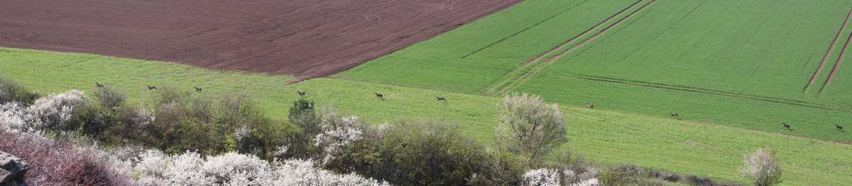 [pano2]-IMG_2013_04_29_00010033_IMG_2013_04_29_00010061-4 images_Bildgr��e �ndern