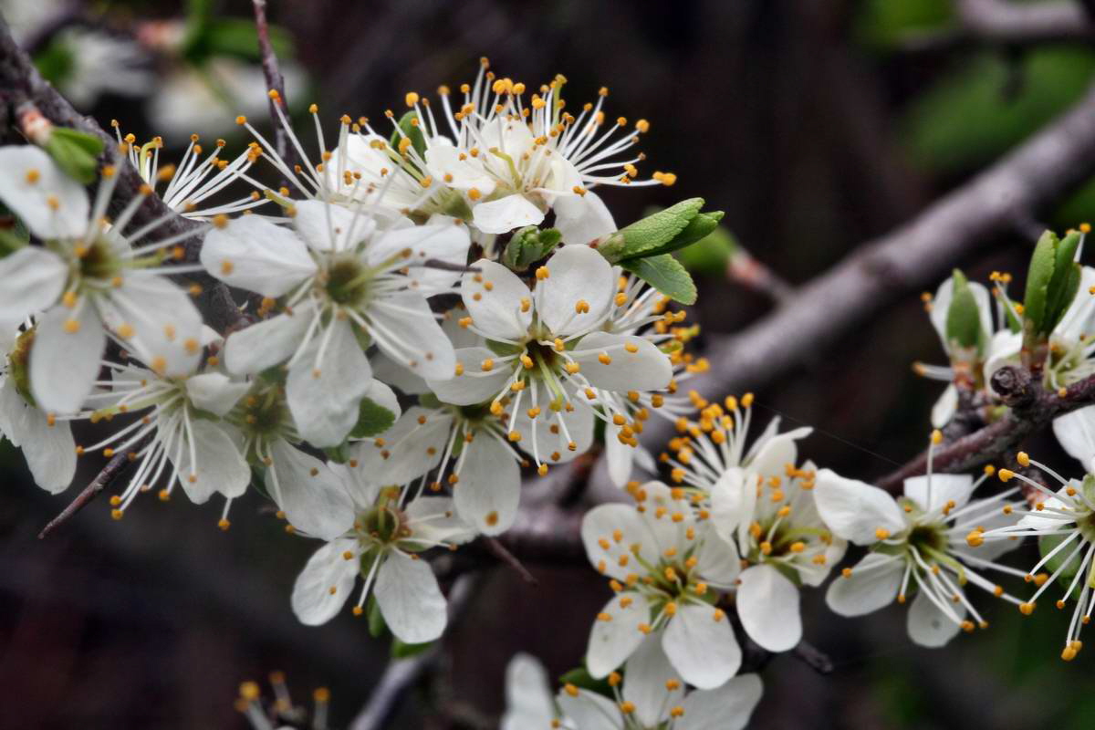 IMG_2013_04_29_00009765_2_Bildgr��e �ndern