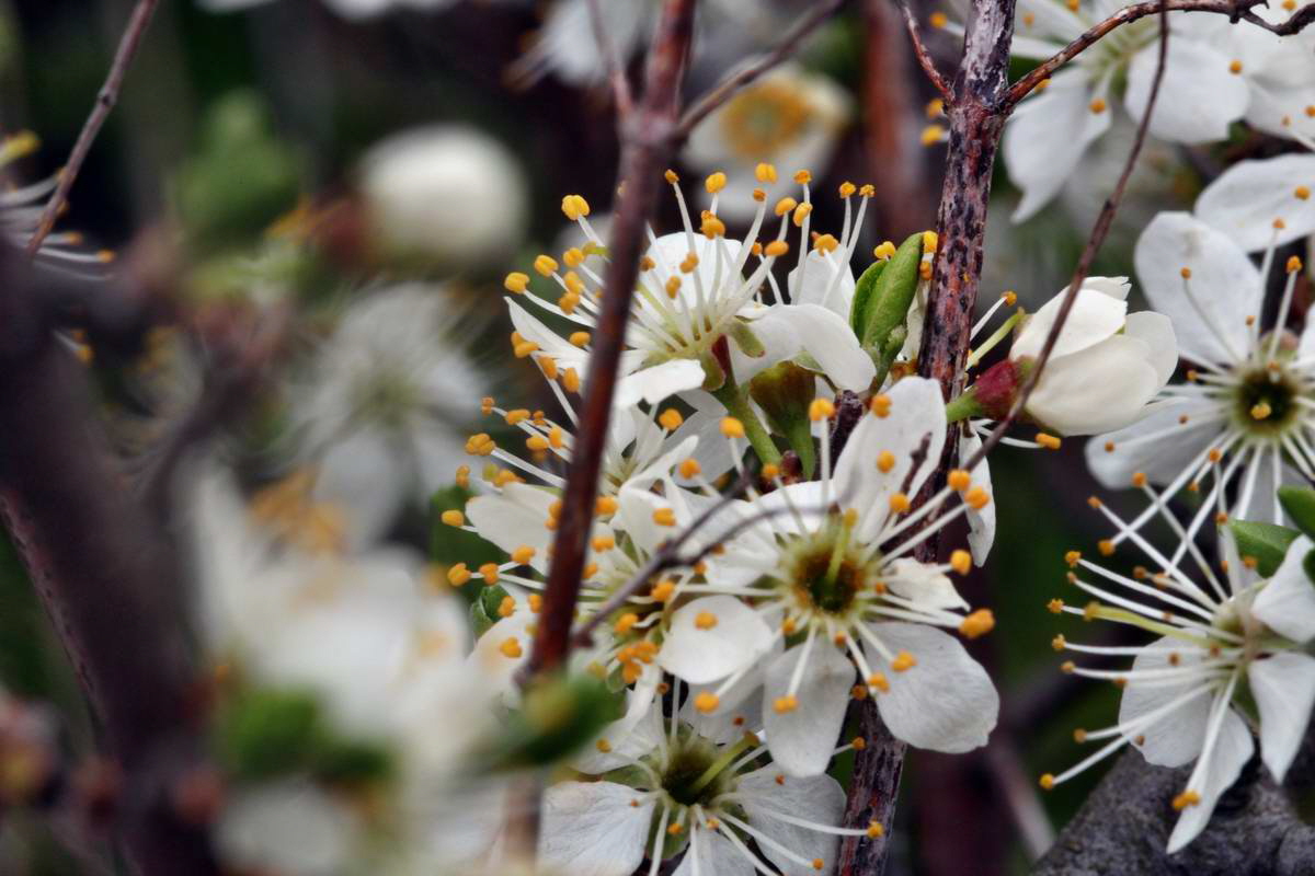 IMG_2013_04_29_00009776_2_Bildgr��e �ndern